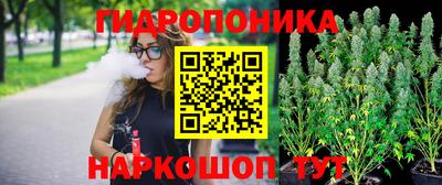 молекула духа Лесосибирск